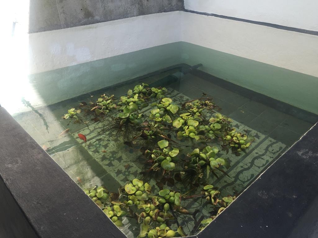 Villa Mamita Los Llanos De Aridane Kültér fotó